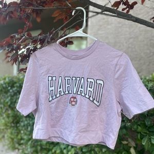 Cotton on Harvard cropped top